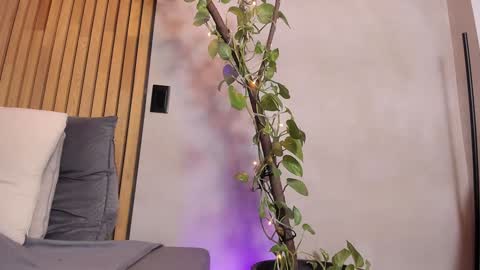 Sofia independent model online show from December 4, 10:57 am