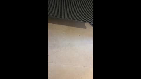 Snapshot of horny4more691 chatting on March 10, 6:57 pm horny4more691 online show from March 10, 6:57 pm