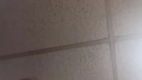 Dominick Subversal online show from February 20, 2:06 pm