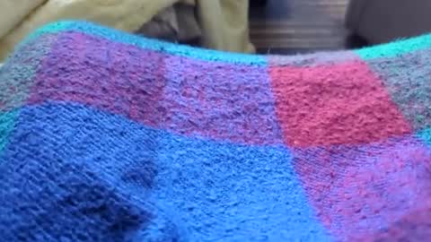 Tiny cock online show from January 11, 10:26 pm