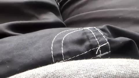 Tiny cock online show from January 31, 7:11 pm