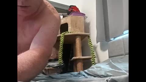 hornyman6942842 online show from December 13, 8:04 pm