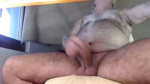 hornyswissman online show from September 8, 5:01 pm