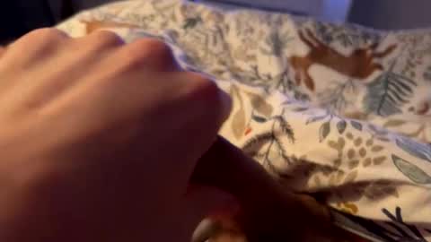 Snapshot of hot_for_you_ chatting on February 26, 2:10 am hot_for_you_ online show from February 26, 2:10 am