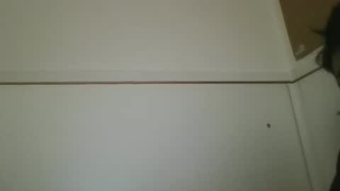 Snapshot of hotandwild2003 chatting on February 16, 3:08 pm hotandwild2003 online show from February 16, 3:08 pm