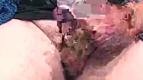 Snapshot of hotcam96 chatting on December 15, 3:31 pm hotcam96 online show from December 15, 3:31 pm