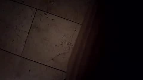 Snapshot of hothornyanddutch chatting on April 3, 4:21 am Hot Dutchie online show from April 3, 4:21 am