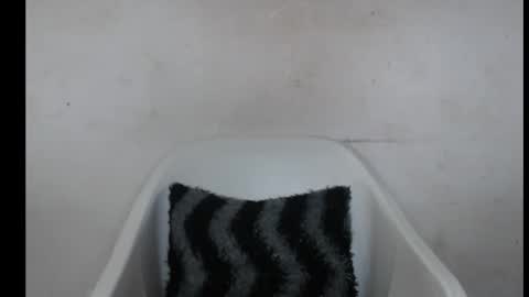 Snapshot of hotjessie0 chatting on October 3, 9:06 am hotjessie0 online show from October 3, 9:06 am