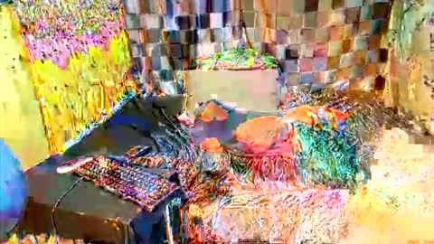 Snapshot of hottiedanicatrans69 chatting on October 13, 4:01 am hottiedanicatrans69 online show from October 13, 4:01 am