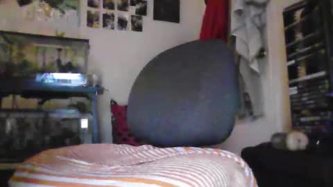 hrnyymff online show from November 28, 5:04 pm