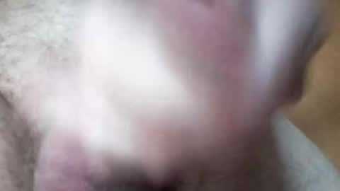 hrubesch2019 online show from October 26, 10:54 am