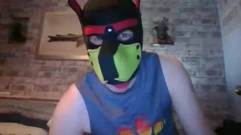 Hudson the puppy play online show from April 2, 12:41 am