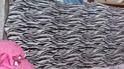 bella    passwordshow 500tokens  no time limit online show from October 19, 1:56 pm