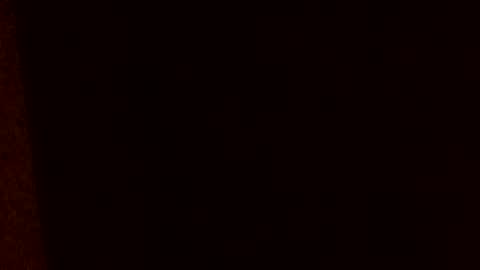 Snapshot of huidos2006 chatting on February 17, 8:44 am huidos2006 online show from February 17, 8:44 am