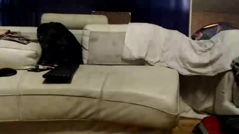 huippari online show from September 29, 12:32 pm