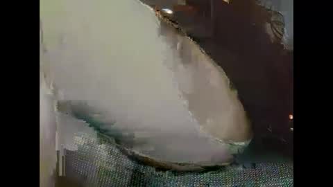 hujiajia520321431 online show from November 19, 10:59 am