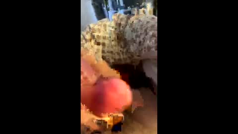 hungminer69 online show from April 12, 1:43 am