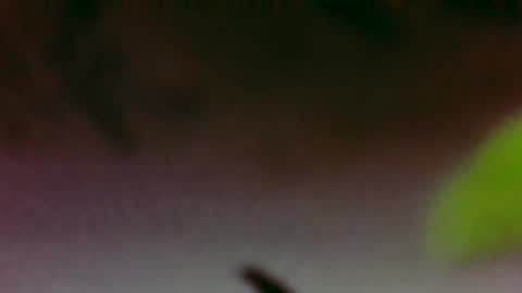 Snapshot of hungsubbb chatting on November 26, 3:40 am Boi online show from November 26, 3:40 am