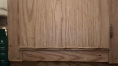 Snapshot of hybrid_lover419 chatting on February 13, 5:36 am Hybrid Lover419 online show from February 13, 5:36 am