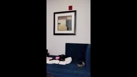 Snapshot of hydrakinglaser chatting on February 5, 2:05 am hydrakinglaser online show from February 5, 2:05 am