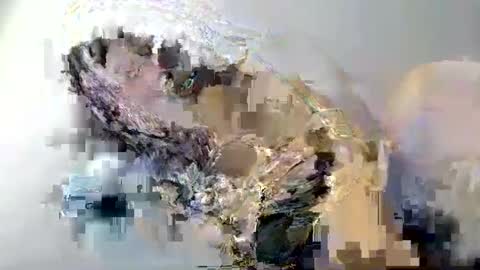 cant get you out of my head online show from February 12, 1:59 pm