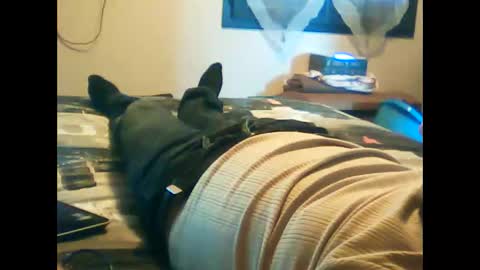 iagreeto online show from February 3, 1:30 pm