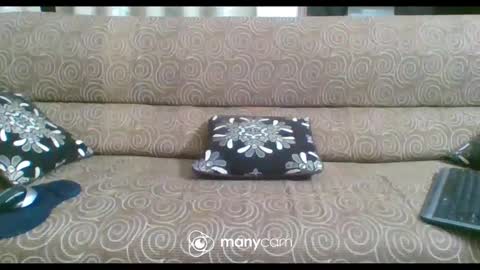 Snapshot of iam_jp084 chatting on February 21, 6:26 pm JP online show from February 21, 6:26 pm