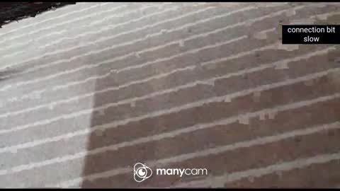 JP online show from January 7, 1:02 pm