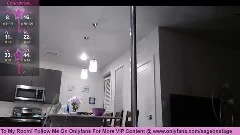 Snapshot of iamsageonstage chatting on February 3, 1:09 am Sage online show from February 3, 1:09 am