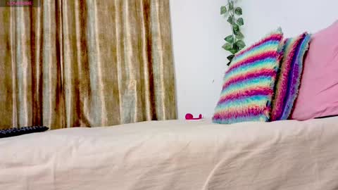 Snapshot of iamsomeone1234 chatting on January 17, 1:56 pm Iamnidhicam online show from January 17, 1:56 pm