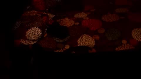 MADAM  MISTRESS ASIANA online show from December 21, 4:25 pm