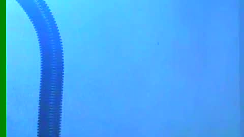 Snapshot of ian_zaenzz chatting on December 18, 10:35 pm Samuel igsamuelnoguera 1333 online show from December 18, 10:35 pm