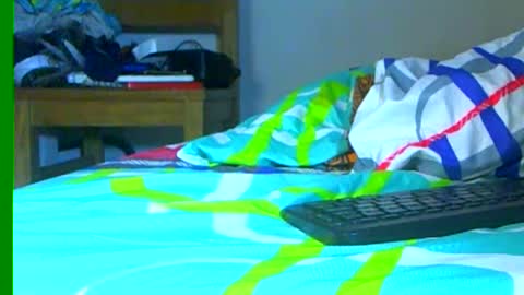 Snapshot of ian_zaenzz chatting on December 28, 10:02 pm Samuel igsamuelnoguera 1333 online show from December 28, 10:02 pm