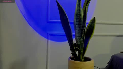 Crystall online show from October 2, 4:41 am