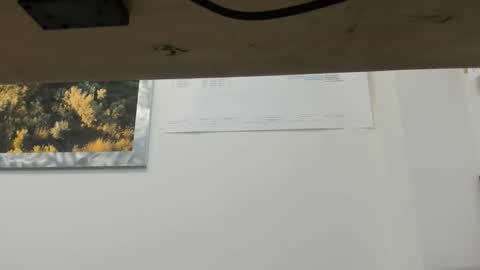 idfunguy2023 online show from December 14, 11:53 pm