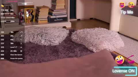 Little Flower online show from September 17, 3:46 pm