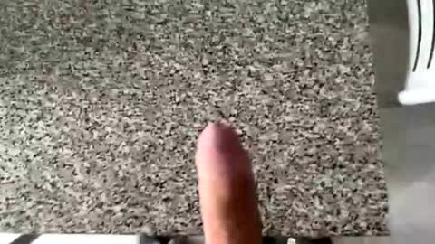 Snapshot of ilconte81 chatting on March 10, 2:33 pm ilconte81 online show from March 10, 2:33 pm