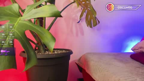 Bryan online show from February 12, 5:47 am