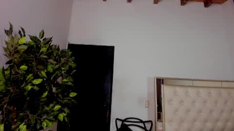 FELIX online show from May 1, 11:48 am