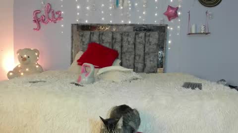 Letty online show from February 24, 5:43 am