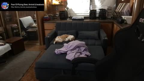 Snapshot of incognitoqueen chatting on March 11, 5:35 am Carter online show from March 11, 5:35 am