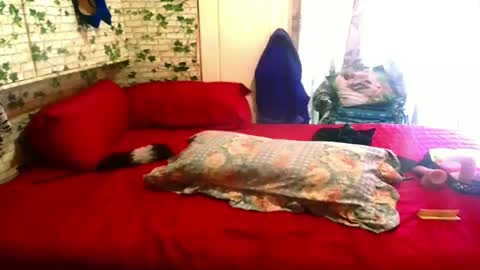 indian_blaze00 online show from February 4, 1:27 pm