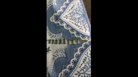 Indian desi6969 online show from March 30, 7:26 pm