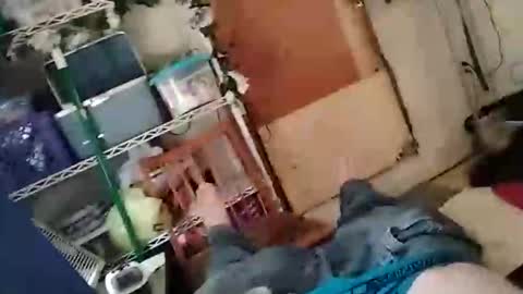 infantrycum91 online show from April 8, 7:03 pm