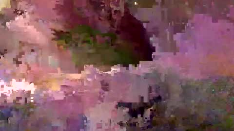 Snapshot of inhertube15 chatting on December 28, 10:03 am inhertube15 online show from December 28, 10:03 am