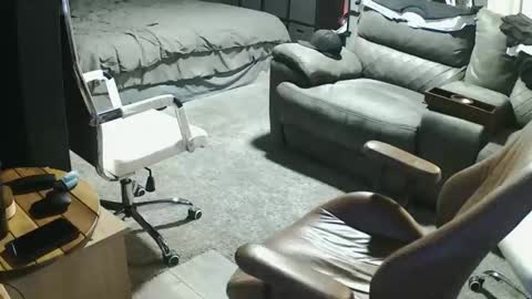 init2dentit online show from March 20, 10:20 am