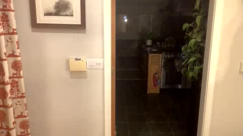 Snapshot of inkpiggy chatting on February 20, 12:51 am inkpiggy online show from February 20, 12:51 am