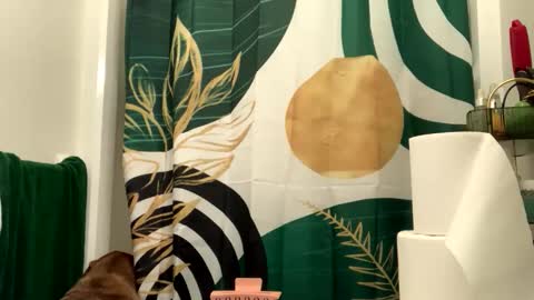 IntoTheWoodsWeGo online show from April 3, 8:51 pm