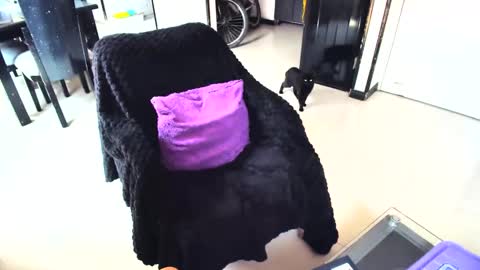 irina online show from February 15, 4:45 pm