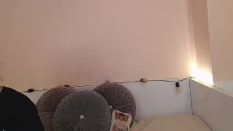 Snapshot of isabella__dark chatting on December 21, 12:42 am    online show from December 21, 12:42 am